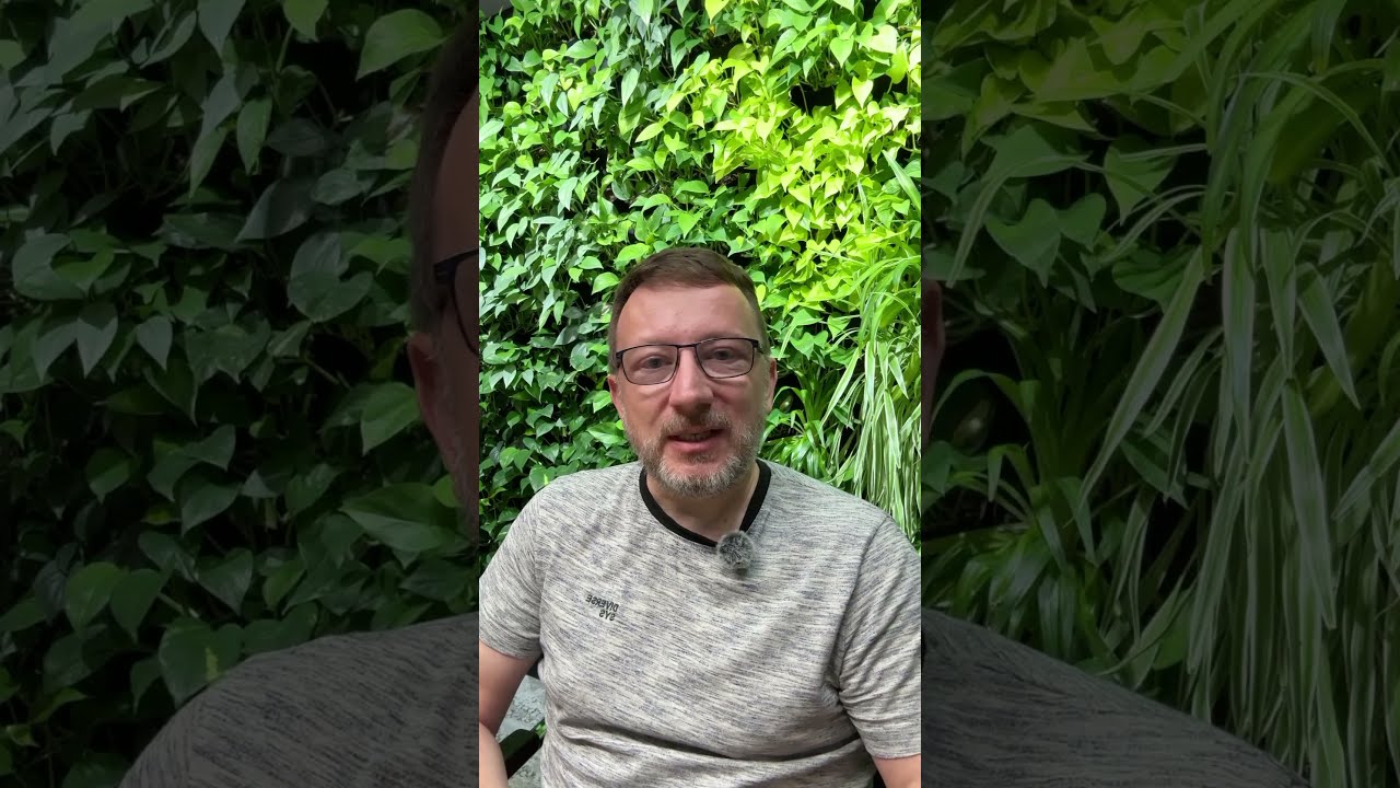 Darmowy audyt SEO online - kosz to właściwe miejsce dla tego narzędzia