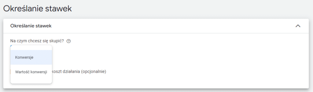 ustalanie stawek Performance Max