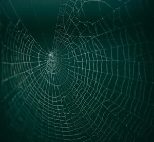 czym jest sieć reklamowa google