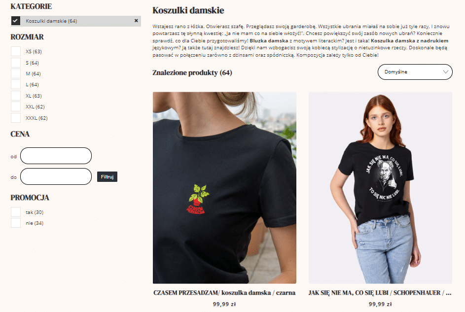 górna część opisu kategorii