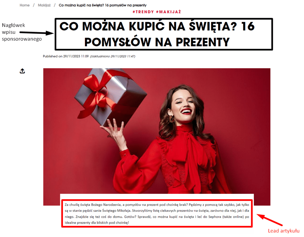 Nagłówek wpisu i angażujący lead.