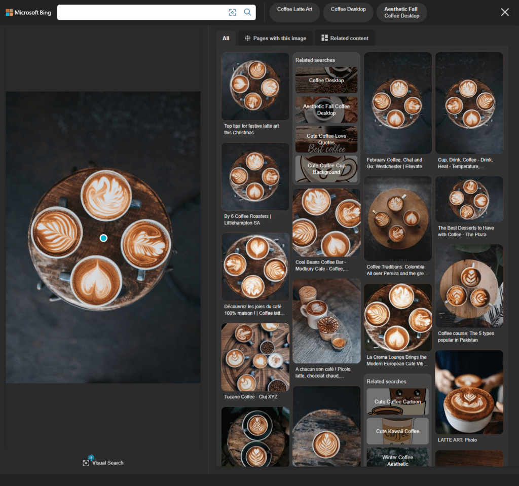 Wyniki Bing Visual Search.