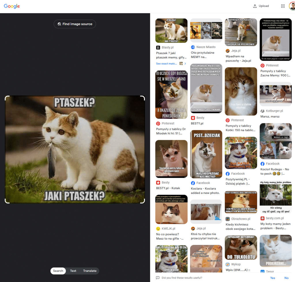 Znalezione obrazy na podstawie adresu URL wklejonego do Google Grafika.