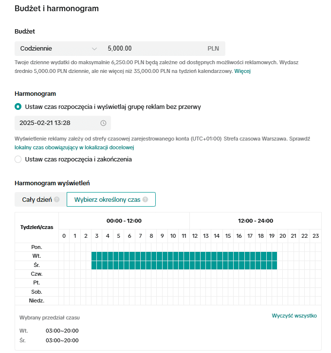 ustalanie budżetu i harmonogramu wyświetlania reklam na TikToku