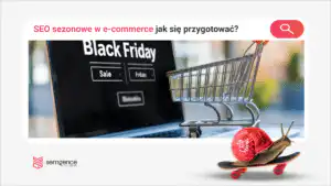 SEO sezonowe w e-commerce - jak przygotować sklep na Black Friday, święta i wyprzedaże