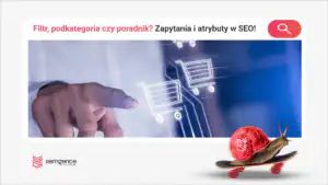 Filtr, podkategoria czy poradnik? Jak zbudować hierarchię e-commerce z zapytań i atrybutów?