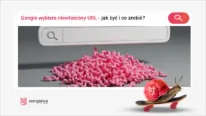 Google wybiera niewłaściwy URL — jak zmierzyć dopasowanie zapytania do strony w danych GSC