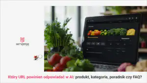 Produkt, kategoria, poradnik czy FAQ - który URL powinien odpowiadać w AI?